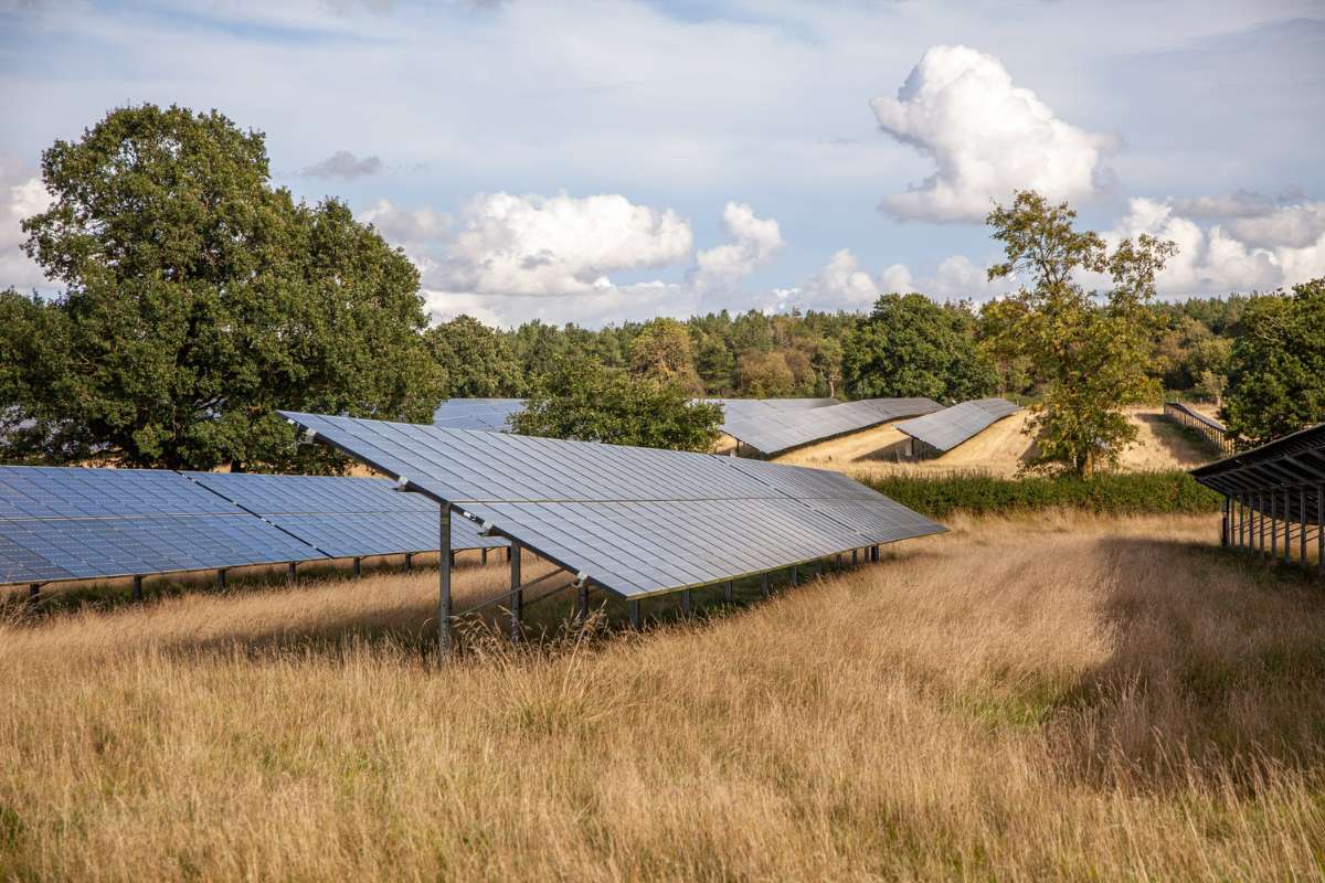 Rural Landscapes and Renewable Energy: The Surge of Solar Farms in the UK